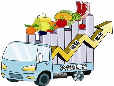 生鮮背后的大動脈 農(nóng)產(chǎn)品冷鏈物流如何重塑中國的餐桌革命